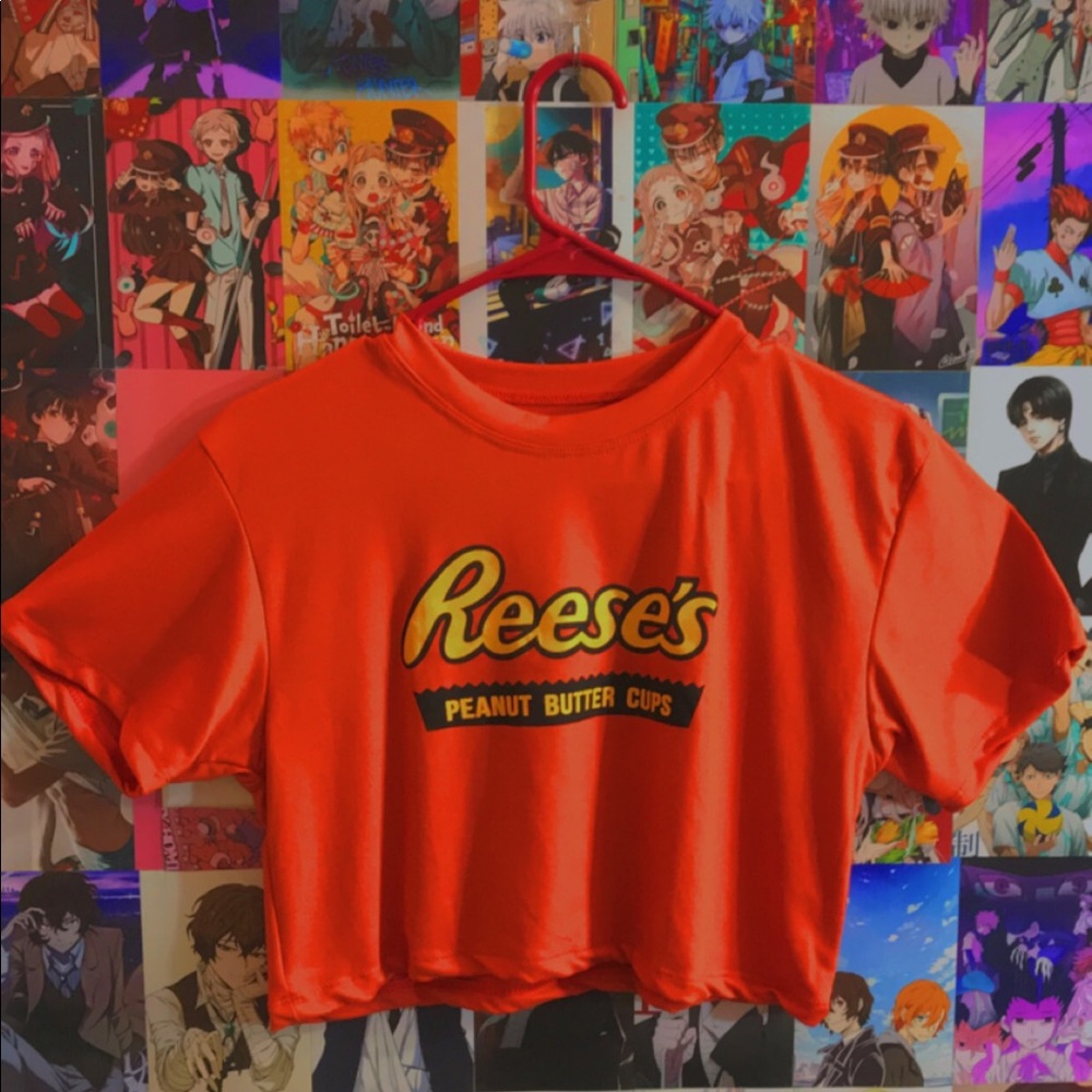 Reese’s cropped tumblr shirt top